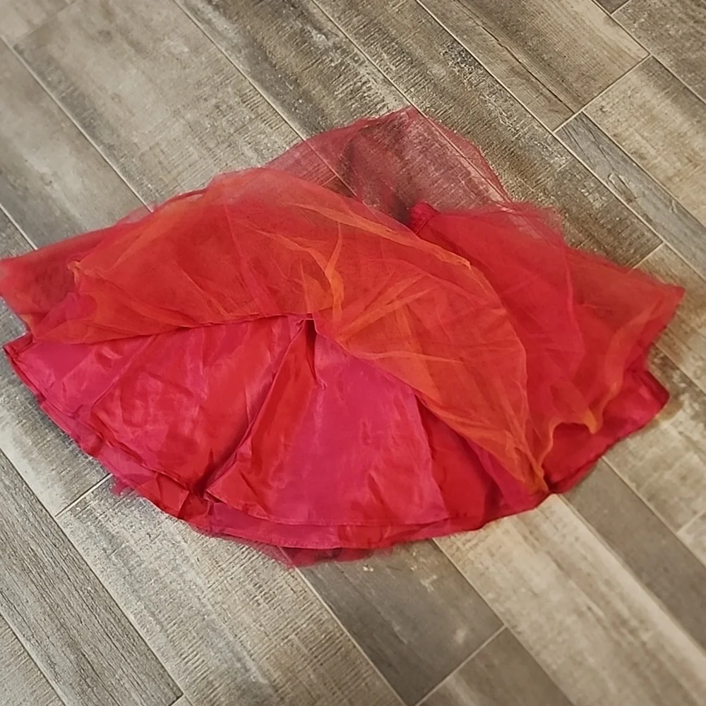 Gymboree brand tew tew skirt